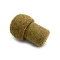 Eko darila USB Champagne