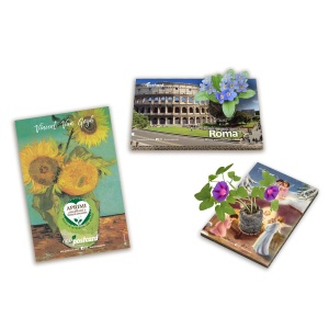Eco postcard with seeds Eko darila Eco postcard with seeds