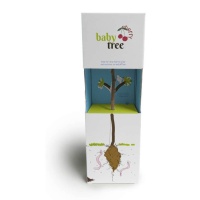 Različna embalaža Baby tree – posadi svoje drevo