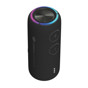 Avdio 30 W zvočnik Pacific Grove