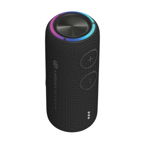 Avdio 30 W zvočnik Pacific Grove