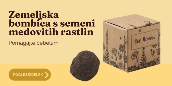 Zeleni kotiček in semena 1