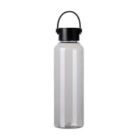 Eko darila rPET steklenica Baltimore VINGA 550 ML
